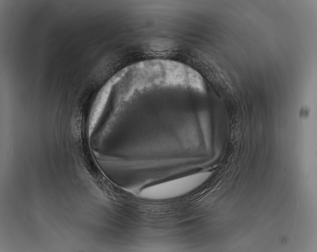 X0000093730647200711061002