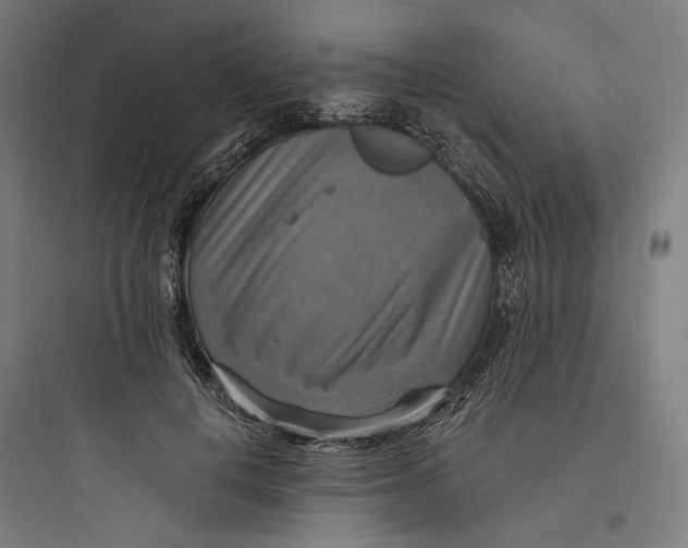 X0000093730648200711061002