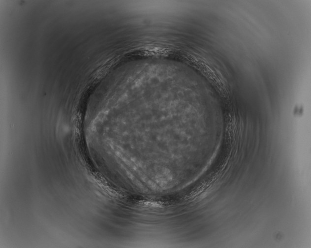 X0000093730649200711061002