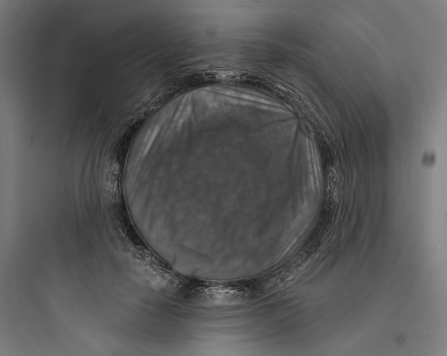 X0000093730650200711061002