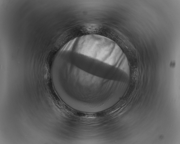 X0000093730651200711061002