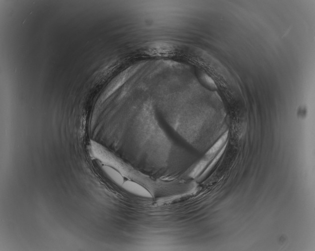 X0000093730652200711061002