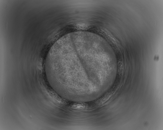 X0000093730655200711061002