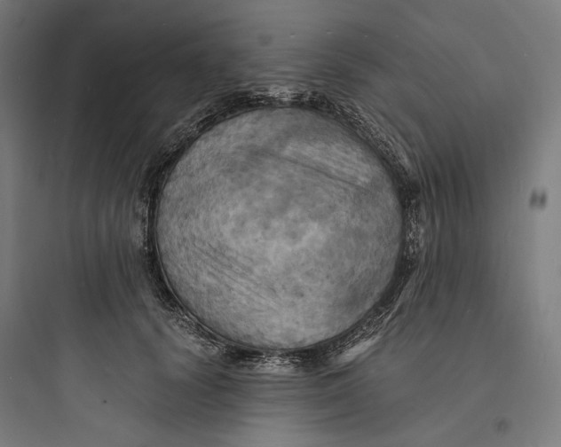 X0000093730656200711061002