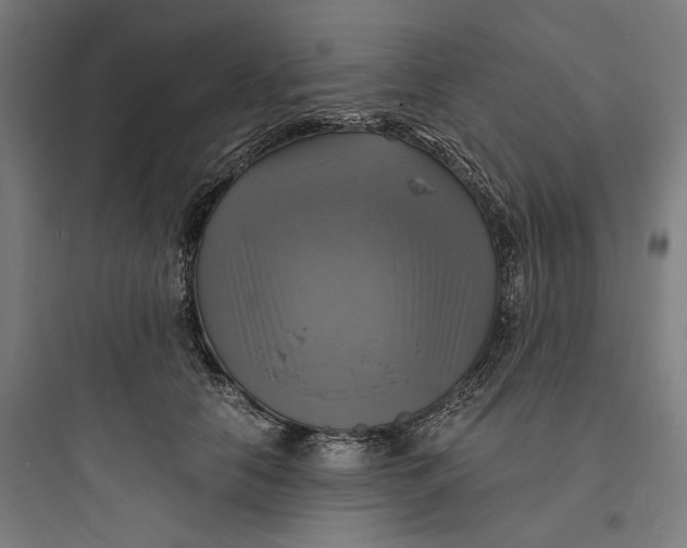 X0000093730658200711061002