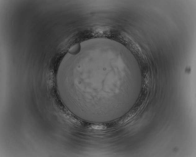 X0000093730659200711061002