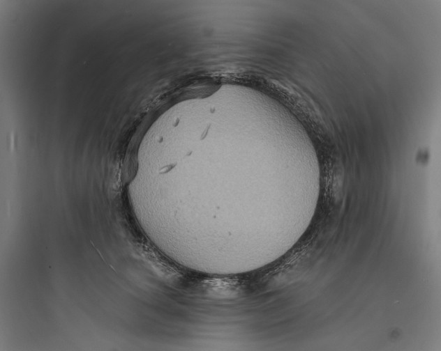 X0000093730660200711061002