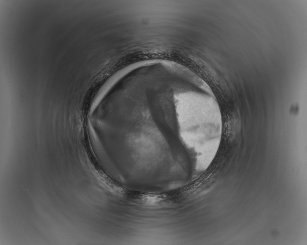 X0000093730662200711061002