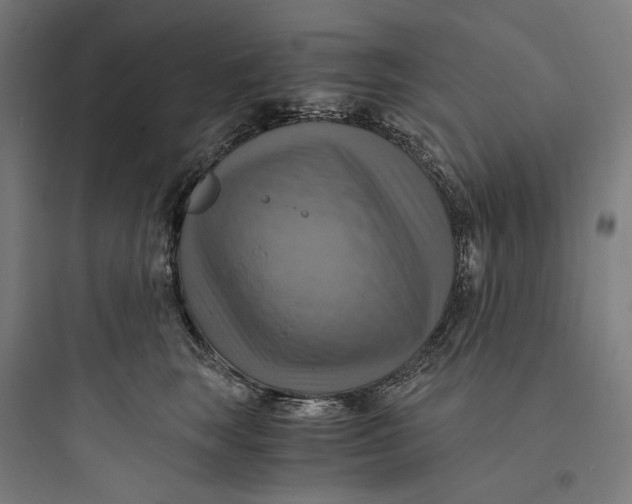 X0000093730663200711061002