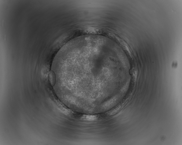 X0000093730665200711061002