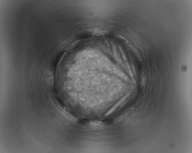 X0000093730666200711061002