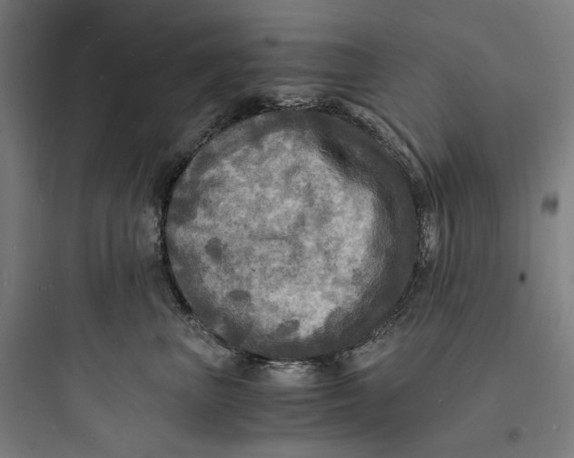 X0000093730667200711061002