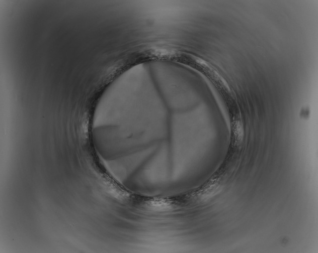 X0000093730668200711061002