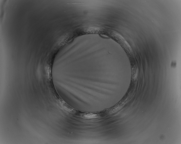 X0000093730669200711061002