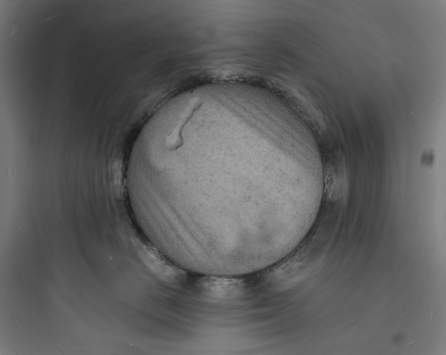 X0000093730670200711061002