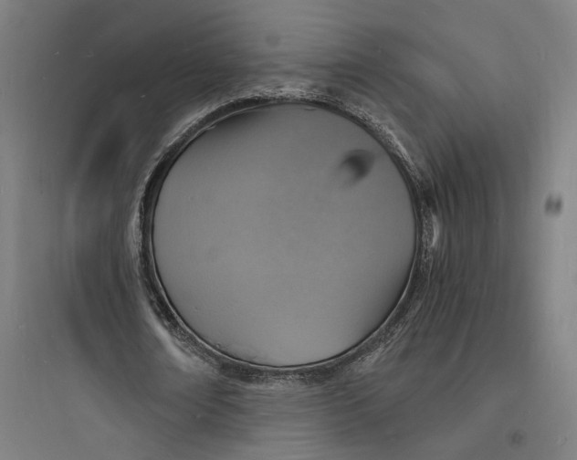 X0000093730674200711061001