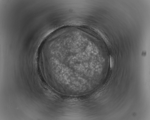 X0000093730675200711061001