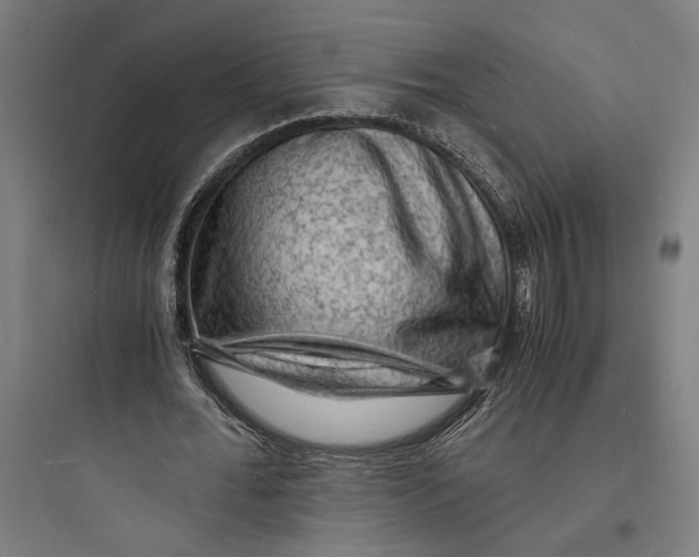 X0000093730676200711061001