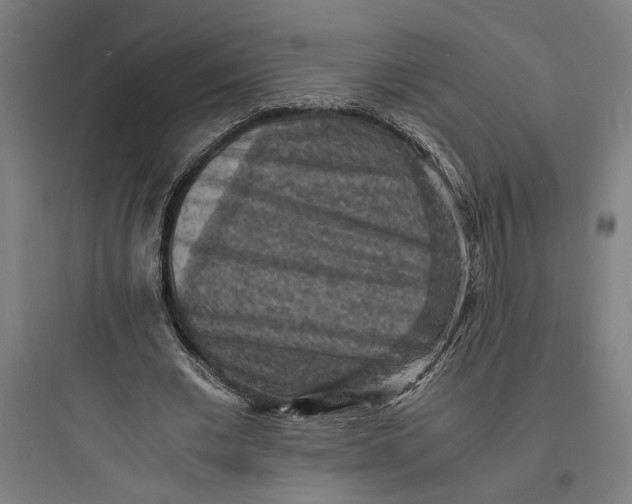 X0000093730677200711061001