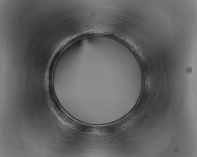 X0000093730678200711061001