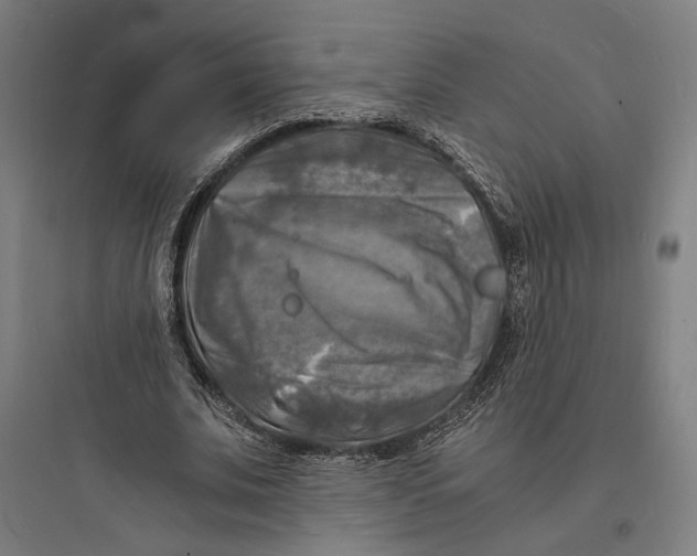 X0000093730679200711061001