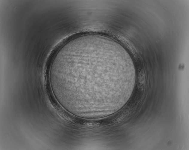 X0000093730680200711061001