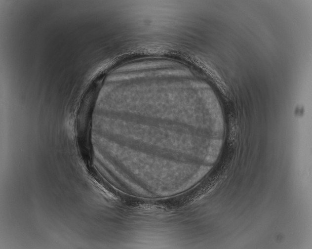 X0000093730681200711061001