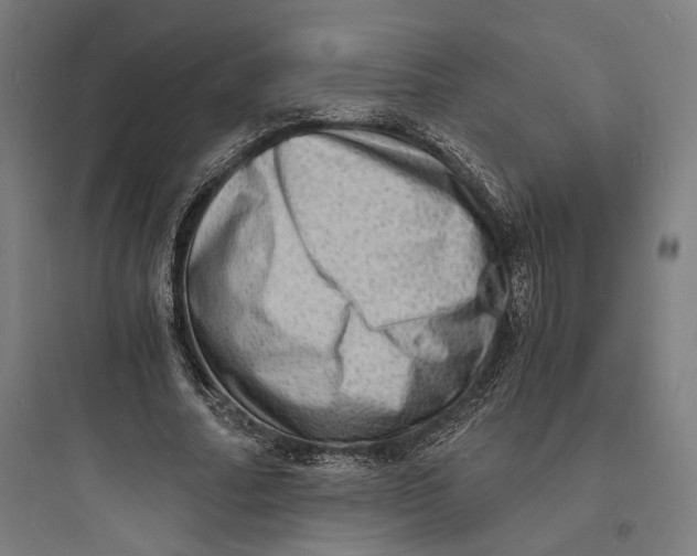 X0000093730682200711061001