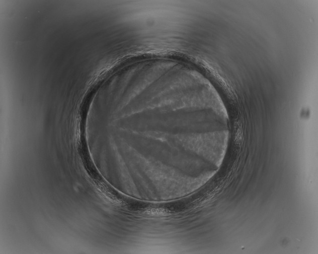 X0000093730685200711061001