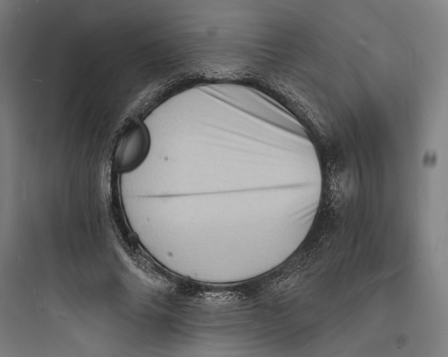 X0000093730686200711061001