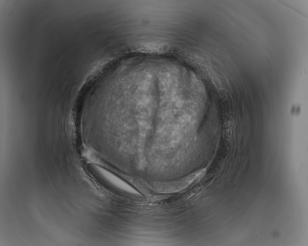 X0000093730688200711061001