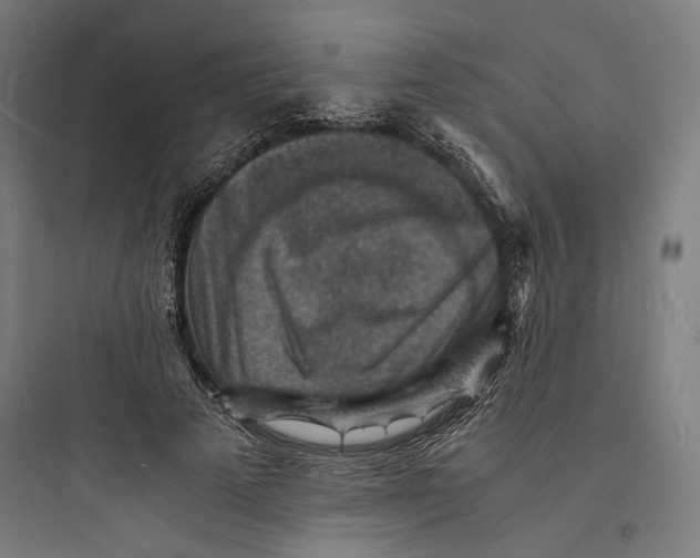 X0000093730689200711061001