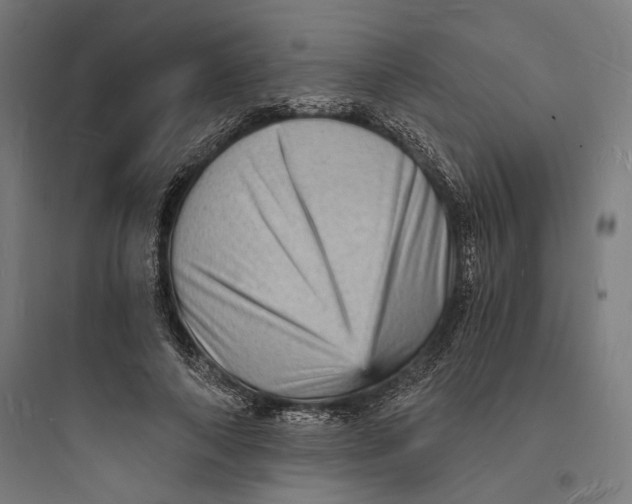 X0000093730690200711061001