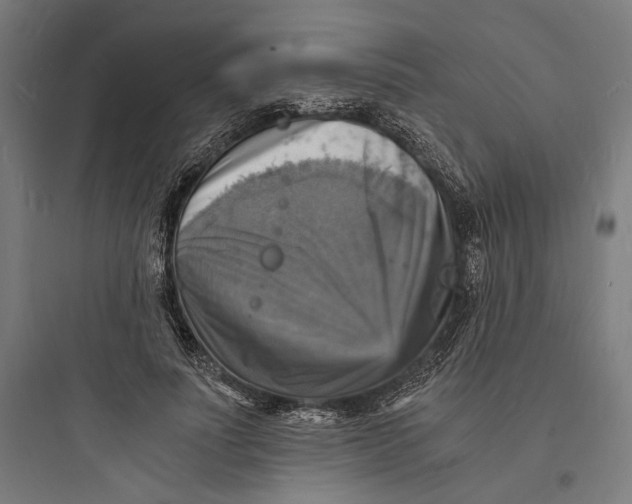 X0000093730691200711061001