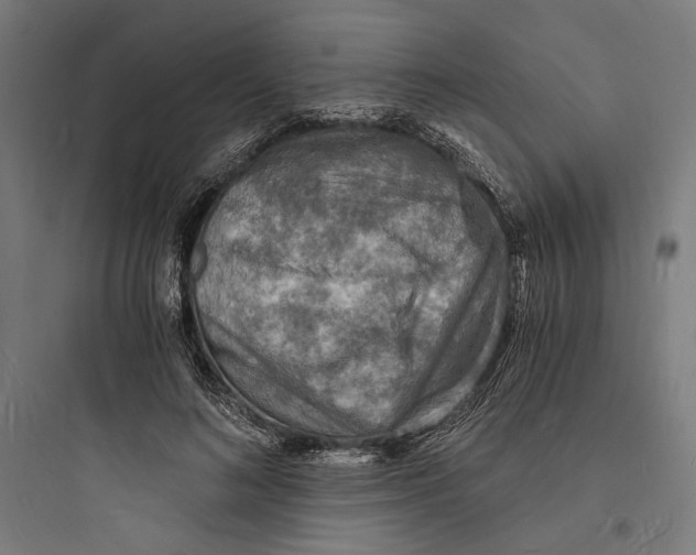 X0000093730692200711061001