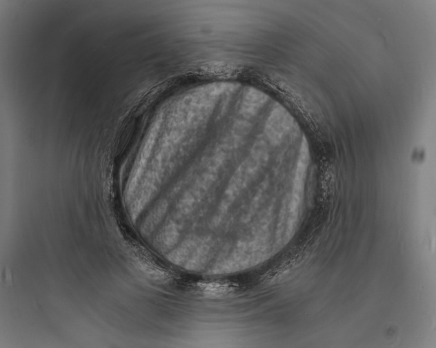 X0000093730693200711061001