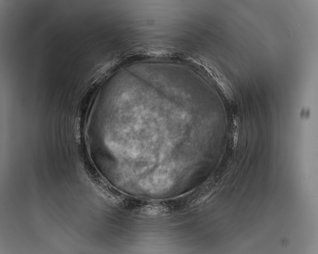 X0000093730696200711061001