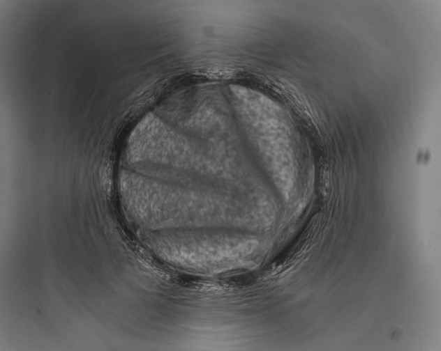 X0000093730697200711061001