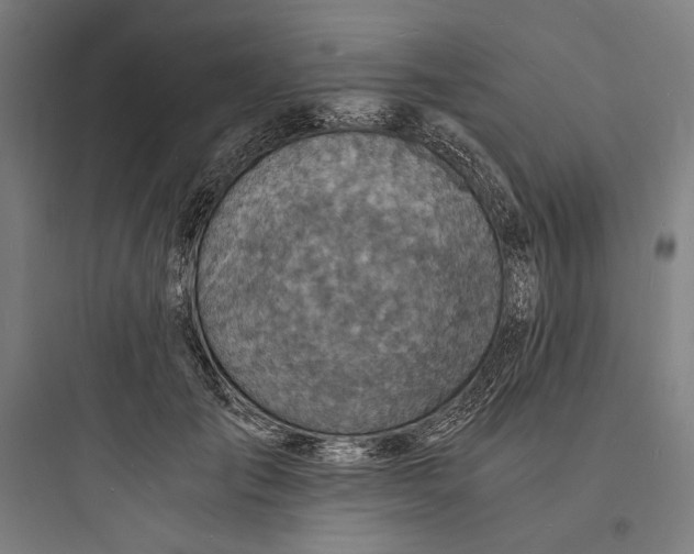 X0000093730701200711061001