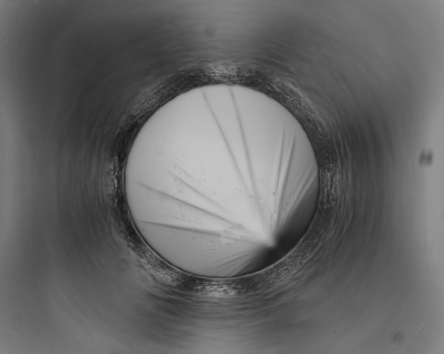 X0000093730702200711061001