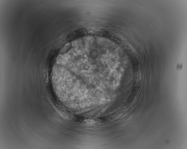 X0000093730703200711061001