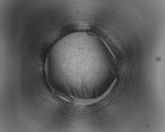 X0000093730704200711061001