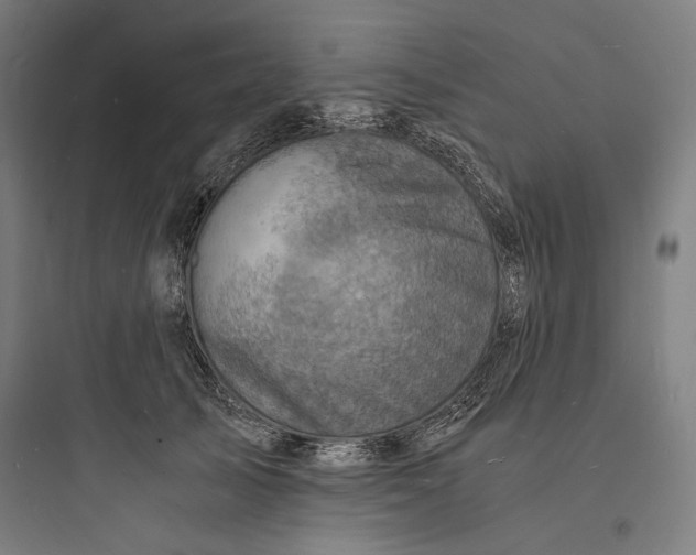 X0000093730705200711061001