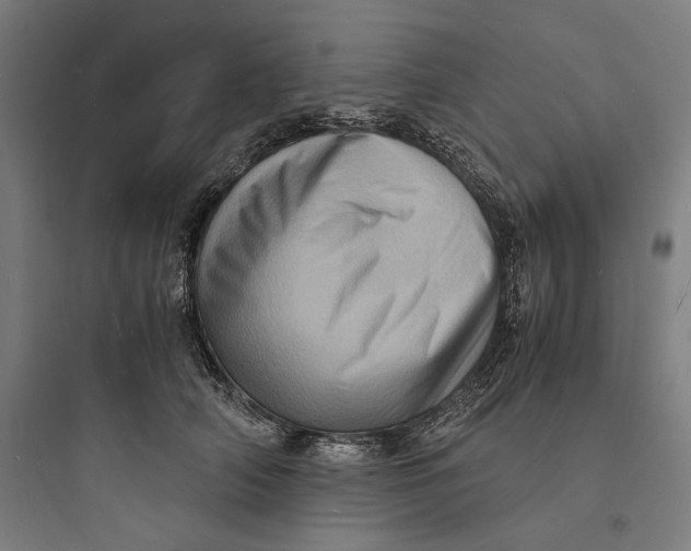 X0000093730706200711061001