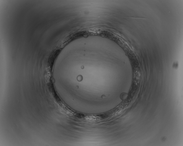 X0000093730707200711061001