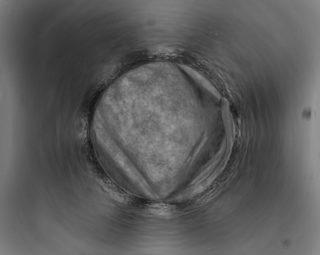 X0000093730708200711061001