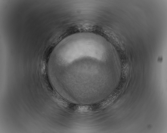 X0000093730709200711061001