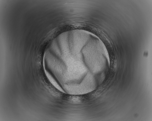 X0000093730710200711061001