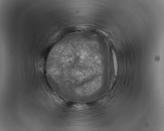 X0000093730712200711061001