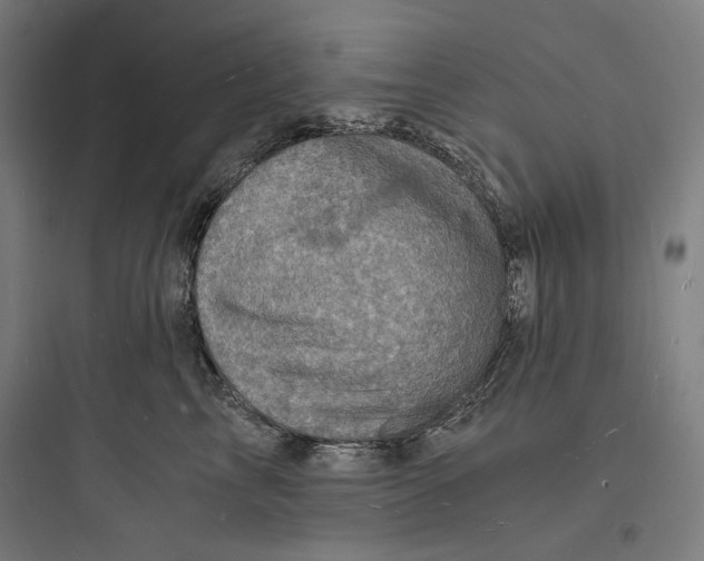 X0000093730713200711061001